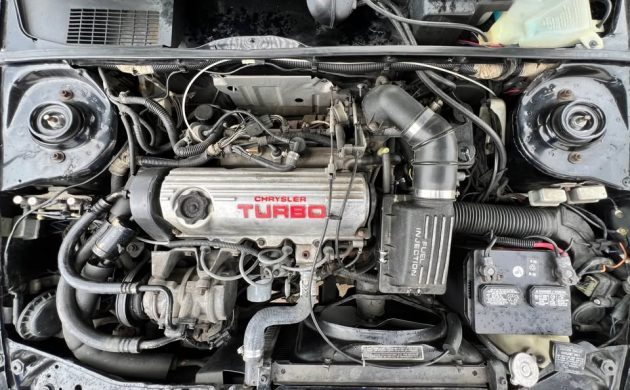 Hot hatch с одним владельцем: Dodge Omni GLH Turbo 1986 года — фото 2